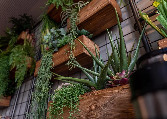 Me And Ulm, By Hyatt אולם